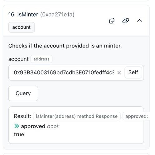 Etherscan Read Contract — isMinter